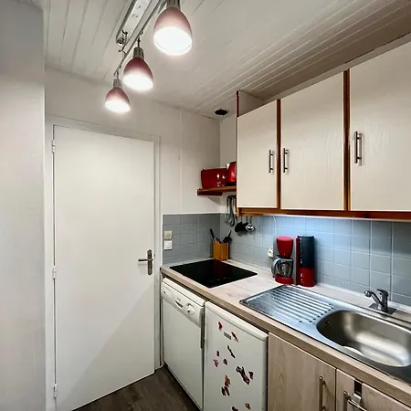 Appartement T2 Au Cœur Du Mont-dore, Idéal Pour 4 Pers, Face Aux Thermes, Animaux Acceptés - Fr-1-608-259 *